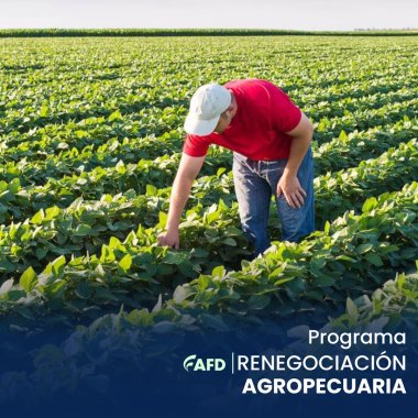 Renegociación agropecuaria